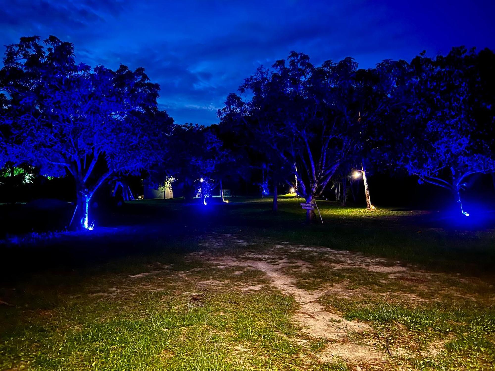 פרסידנטה פיגיירדו Pousada Paraiso Do Calango Azul מראה חיצוני תמונה