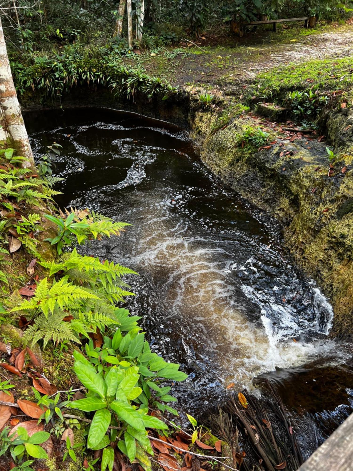 פרסידנטה פיגיירדו Pousada Paraiso Do Calango Azul מראה חיצוני תמונה