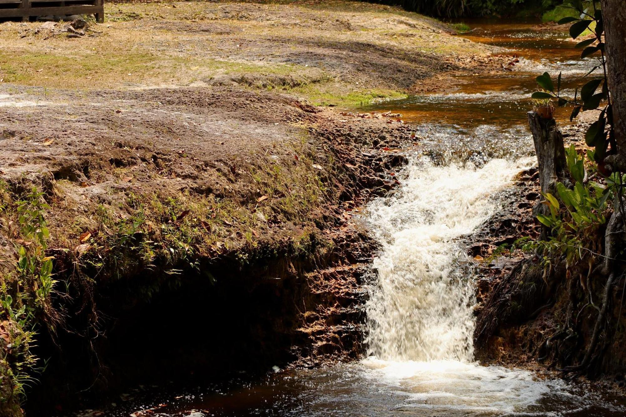 פרסידנטה פיגיירדו Pousada Paraiso Do Calango Azul מראה חיצוני תמונה