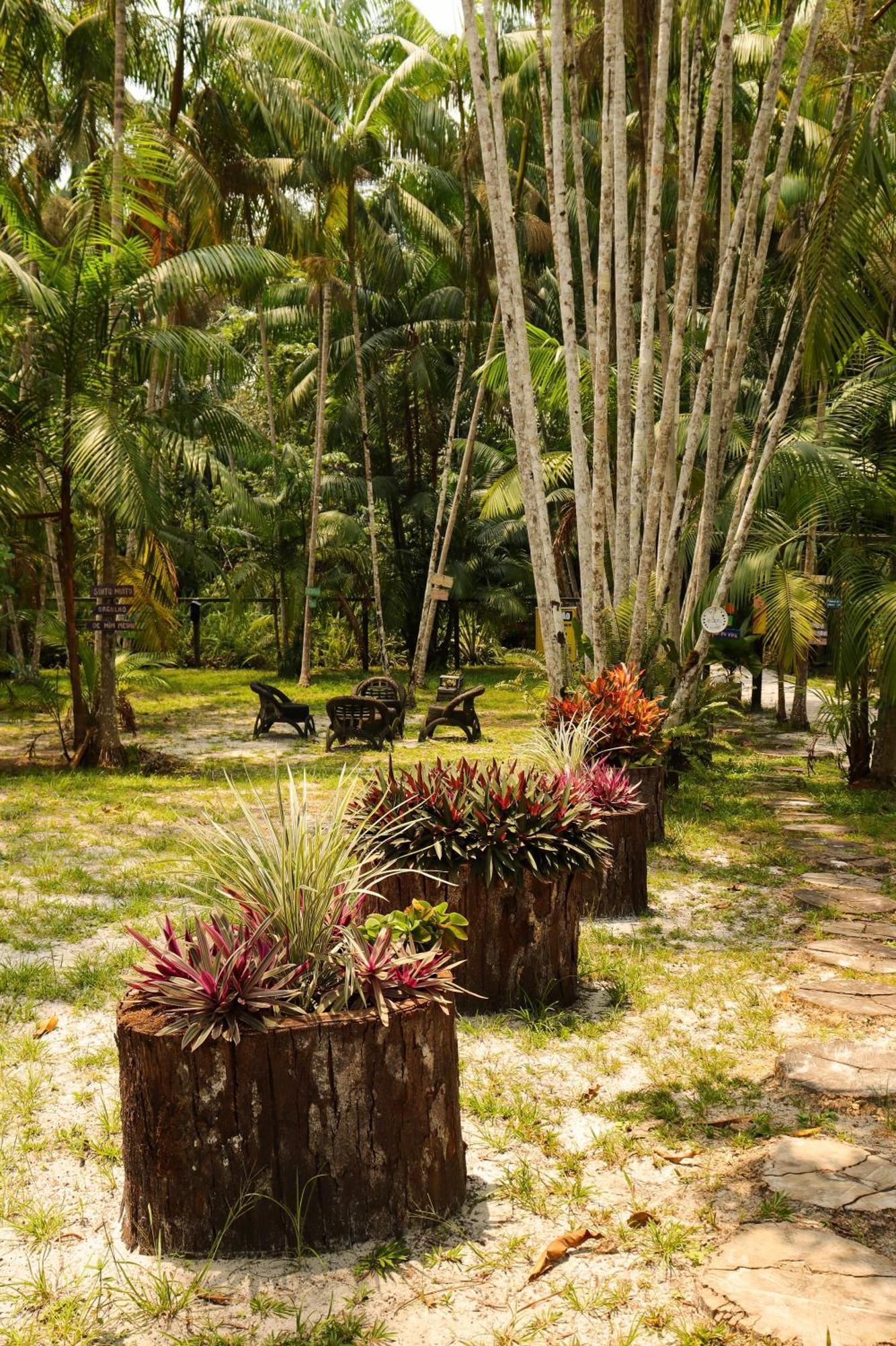 פרסידנטה פיגיירדו Pousada Paraiso Do Calango Azul מראה חיצוני תמונה